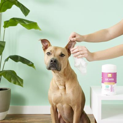 Japanese Cherry Blossom Dog & Cat Ear Wipes, 70 count