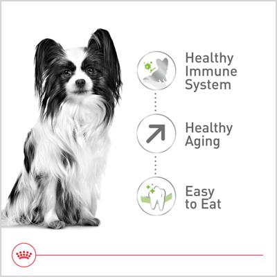 Size Health Nutrition X-Small Aging 12+ Dry Dog Food, 2.5-lb bag