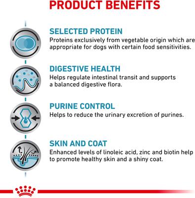 Adult Vegetarian Dry Dog Food, 17.6-lb bag