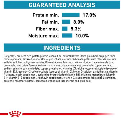 Adult Vegetarian Dry Dog Food, 17.6-lb bag