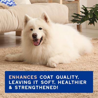 Skin & Coat SPA Ultra-Safe Shed Control Dog Shampoo, 16-fl oz bottle