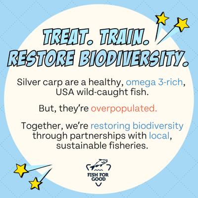 Training Bites Wild-Caught Fish & Sweet Potato Jerky Dog Treats, 5-oz bag