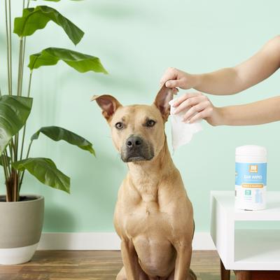 Sweet Pea & Vanilla Dog & Cat Ear Wipes, 70 count