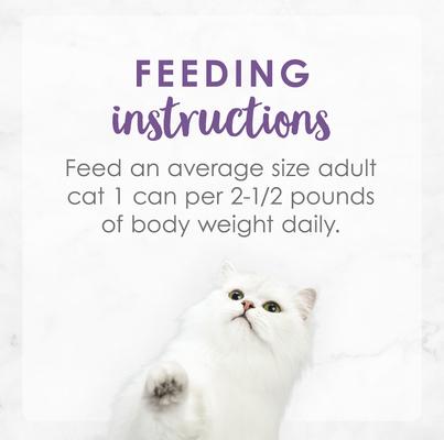 Comida enlatada para gatos Medleys Wild Salmon Florentine, 3 oz, caja de 24