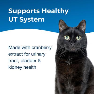 PetAg, UT Solution Gel, DL-Methionine + Cranberry + Oregon Grape Root + Vitamin C, para Gatos, 100 g.