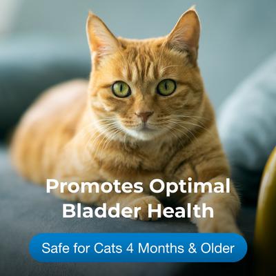 UT Solution Gel Supplement for Cats 6 Months & Older, 3.5-oz tube