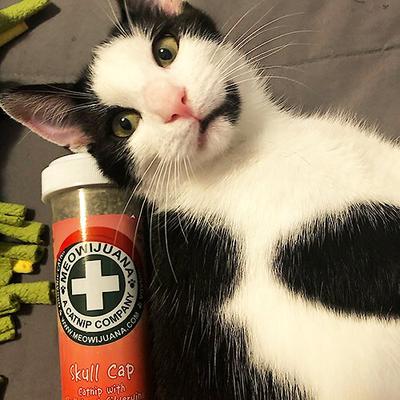 Mezcla de hierba gatera Skull Cap, botella de 0,92 oz