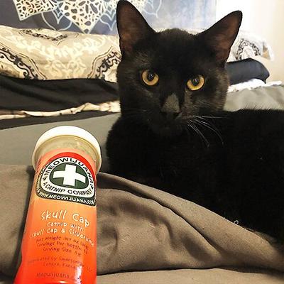 Mezcla de hierba gatera Skull Cap, botella de 0,92 oz