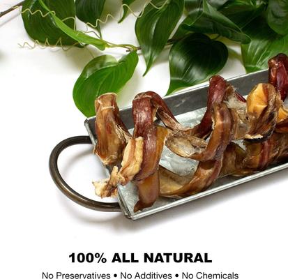 USA Curly Bully Sticks 10-in Dog Treats, 10 count