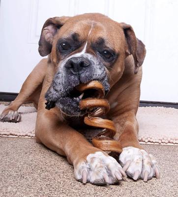 USA Curly Bully Sticks 10-in Dog Treats, 10 count