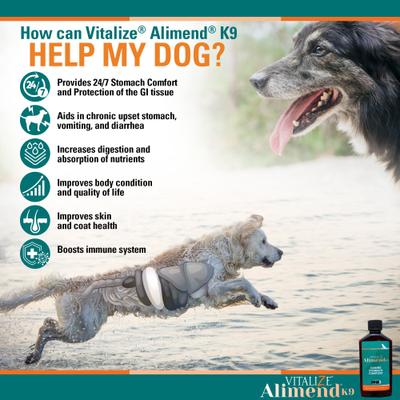 Alimend K9 Canine Stomach Comfort & Protection Dog Supplement, 6-fl oz bottle