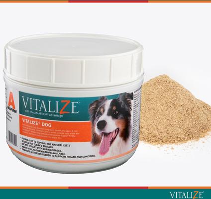 Dog Supplement, 1-lb jar