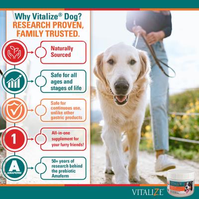 Dog Supplement, 1-lb jar