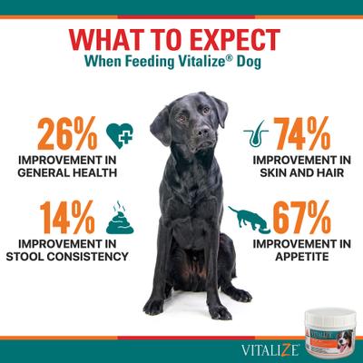 Dog Supplement, 1-lb jar