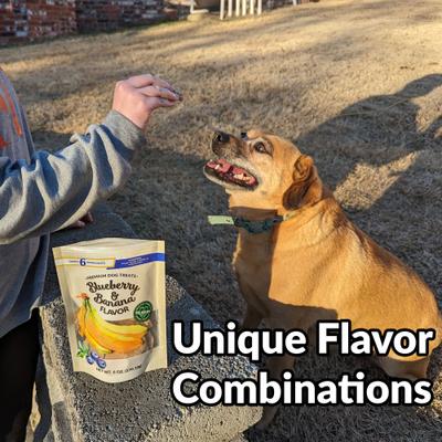 Premium Blueberry & Banana Crunchy Dog Treats, 6-oz bag, case of 6