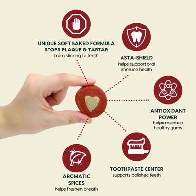 Soft Shield Protection+ Brushless Toothpaste Large Dental Dog Treats, 18-oz bag