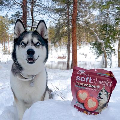 Soft Shield Protection+ Brushless Toothpaste Large Dental Dog Treats, 18-oz bag