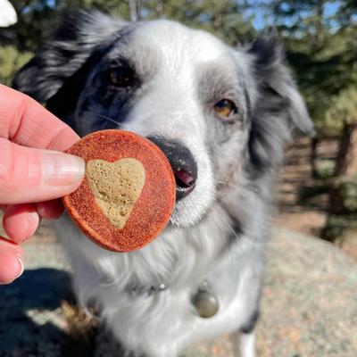 Soft Shield Protection+ Brushless Toothpaste Large Dental Dog Treats, 18-oz bag