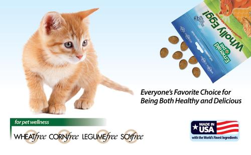 Wholly Egg Chicken Cat Treats, 2.5-oz bag