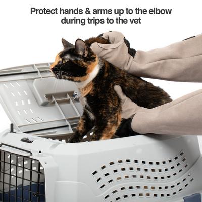 Multipurpose Five Finger Dog & Cat Grooming Gloves, Large