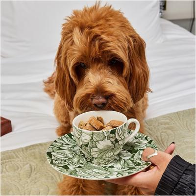 Galletas suaves y masticables para perros con sabor a mantequilla de maní y vainilla de Milk n Cookies, con ingredientes limitados, bolsa de 6 oz