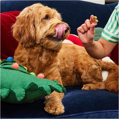 Galletas suaves y masticables para perros con sabor a mantequilla de maní y vainilla de Milk n Cookies, con ingredientes limitados, bolsa de 6 oz