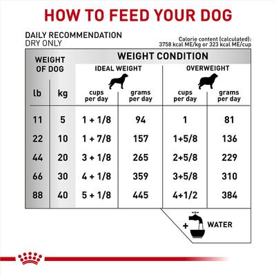Adult Ultamino Dry Dog Food, 19.8-lb bag