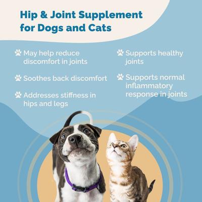 Joint & Muscle Formula Liquid Cat & Dog Supplement, 2-fl oz bottle
