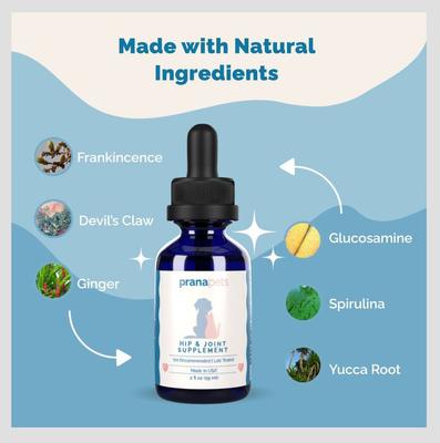 Joint & Muscle Formula Liquid Cat & Dog Supplement, 2-fl oz bottle