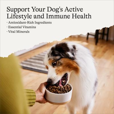 Protein & Grains Salmon, Brown Rice & Vegetables Recipe Dry Dog Food, 28-lb bag