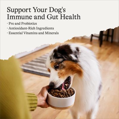 Grain-Free Salmon & Sweet Potato Recipe Dry Dog Food, 24-lb bag