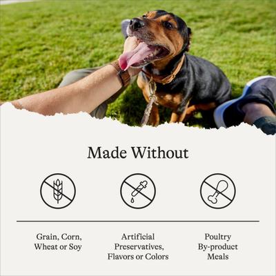 Grain-Free Salmon & Sweet Potato Recipe Dry Dog Food, 24-lb bag