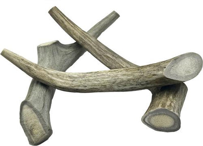 6 to 9-in Whole Deer Antler Dog Treats, Medium, 3 count