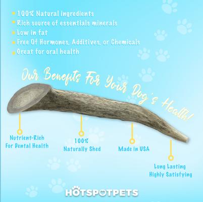 6 to 9-in Whole Deer Antler Dog Treats, Medium, 3 count