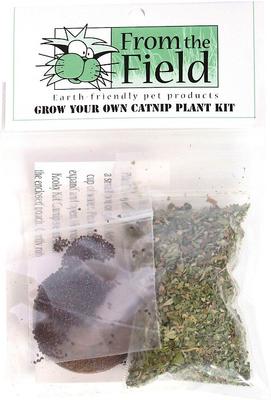Grow Your Own Catnip Plant Kit