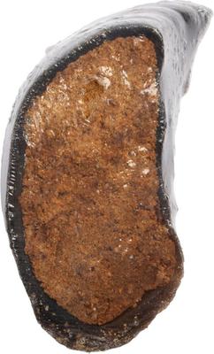 Stuffed Hooves Peanut Butter Flavor Dog Treat, 2 count