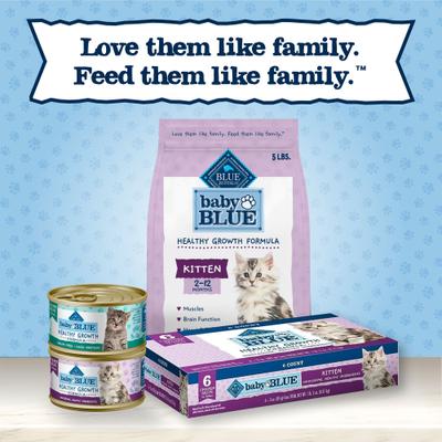 Alimento seco para gatos Baby BLUE Kitten con receta de pollo y arroz integral, bolsa de 5 lb