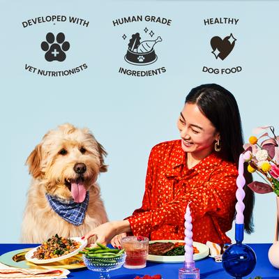 Freshly-Made Frozen Human-Grade Variety Pack Dog Food, 32 to 36-oz pouches, bundle of 6