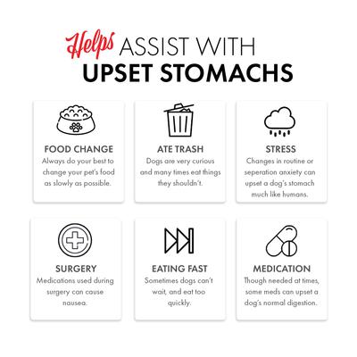 Simple Replacement Anti-Diarrhea Freeze-Dried Dog & Cat Meal Replacement, 7-oz bag