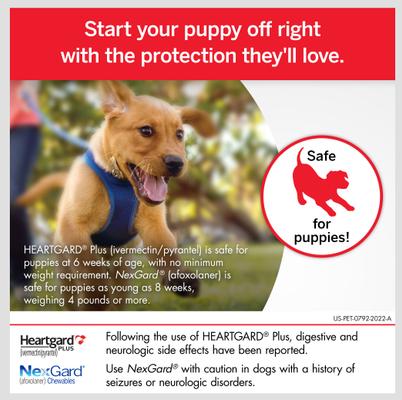 Bundle: Heartgard Plus Chew, 26-50 lbs, (Green Box), 3 Chew (3-mo. supply) + NexGard Chew for Dogs, 4-10 lbs, (Orange Box), 3 Chews (3-mos. supply)
