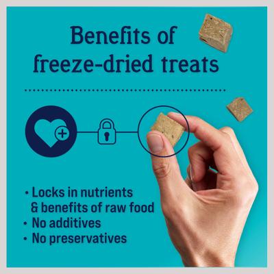 Bundle: Stewart Chicken Liver + Beef Liver Freeze-Dried Dog Treats