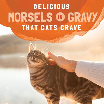 Comida para gatos sin cereales Platefulls Turkey, Chicken & Duck Formula en salsa, bolsitas de 3 oz, caja de 24