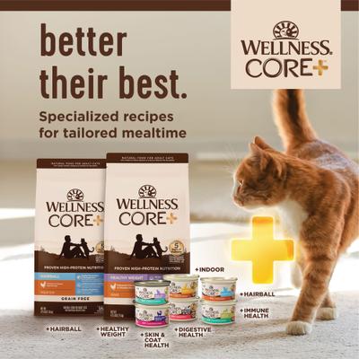 CORE+ Immune Health Chicken & Turkey Natural Grain-Free Pate Wet Cat Food, 2.8-oz can, case of 12