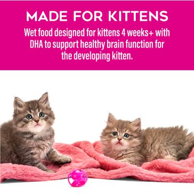 Baby Chicken, Salmon & Chicken Liver Pate Grain-Free Wet Kitten Food, 2.4-oz can, case of 12