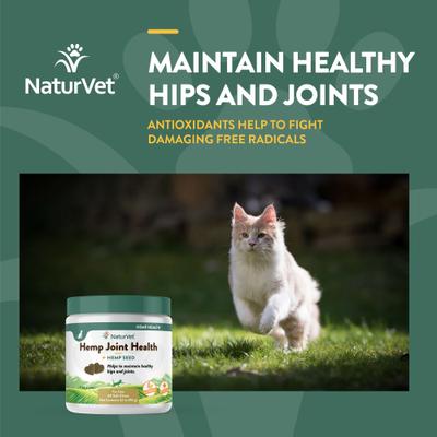 NaturVet, Hemp Soft Chews Joint, masticables articulares con glucosamina, MSM y cáñamo para gatos, 60 unidades