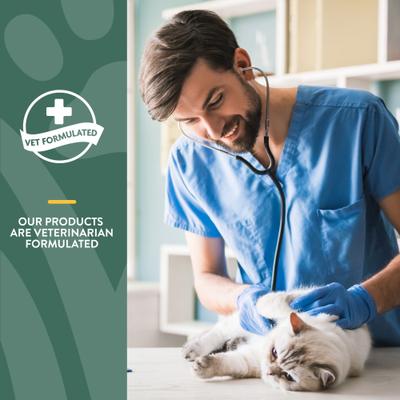 NaturVet, Hemp Soft Chews Joint, masticables articulares con glucosamina, MSM y cáñamo para gatos, 60 unidades