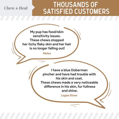 Peanut Butter Omega Skin + Coat Supplement for Dogs, 360 count