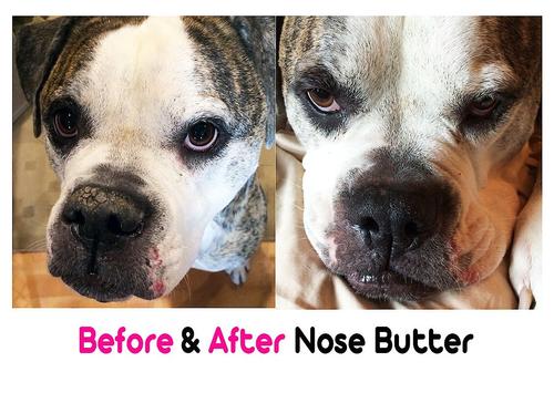 Bulldog Nose Butter, 0.5-fl oz tube