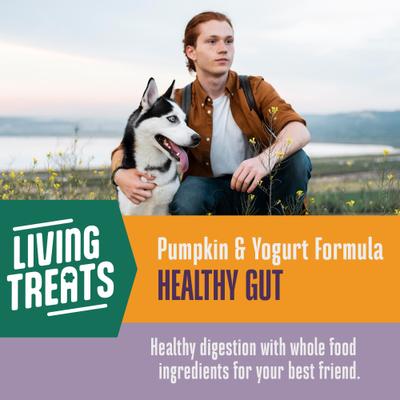 Living Treats Healthy Gut Pumpkin Flavor Freeze-Dried Dog Treats, 3-oz bag