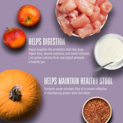 Living Treats Healthy Gut Pumpkin Flavor Freeze-Dried Dog Treats, 3-oz bag